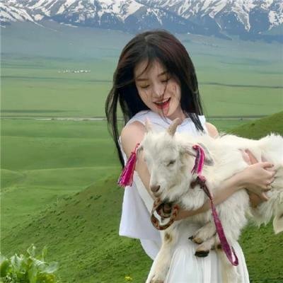 犬之力